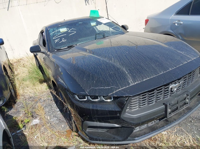 2024 FORD MUSTANG ECOBOOST PREMIUM FASTBACK | 1FA6P8TH3R5131256 | UPCARS