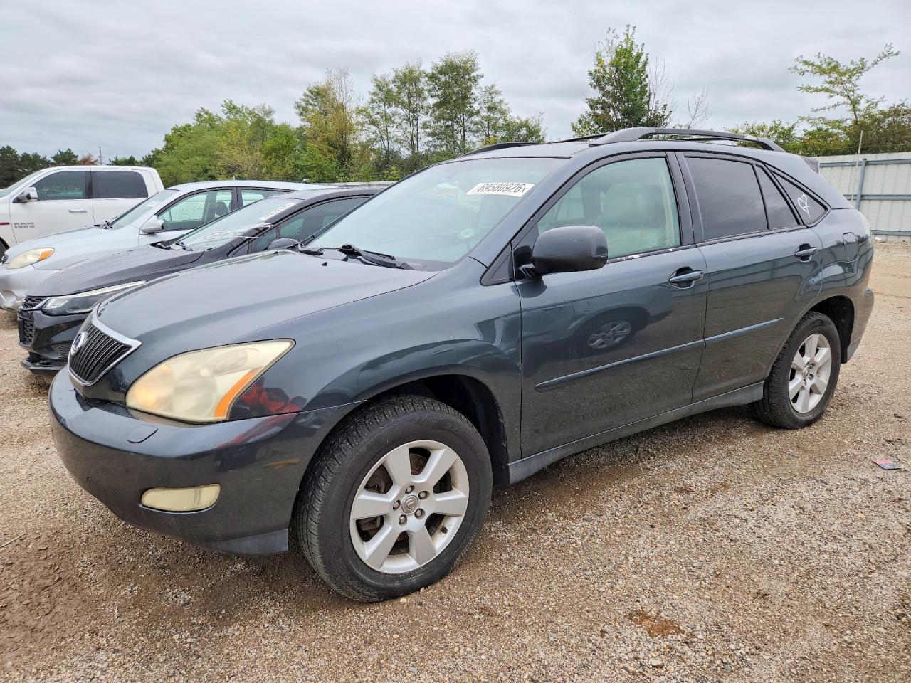 2004 LEXUS RX 330 | JTJGA31U040030455 | UPCARS