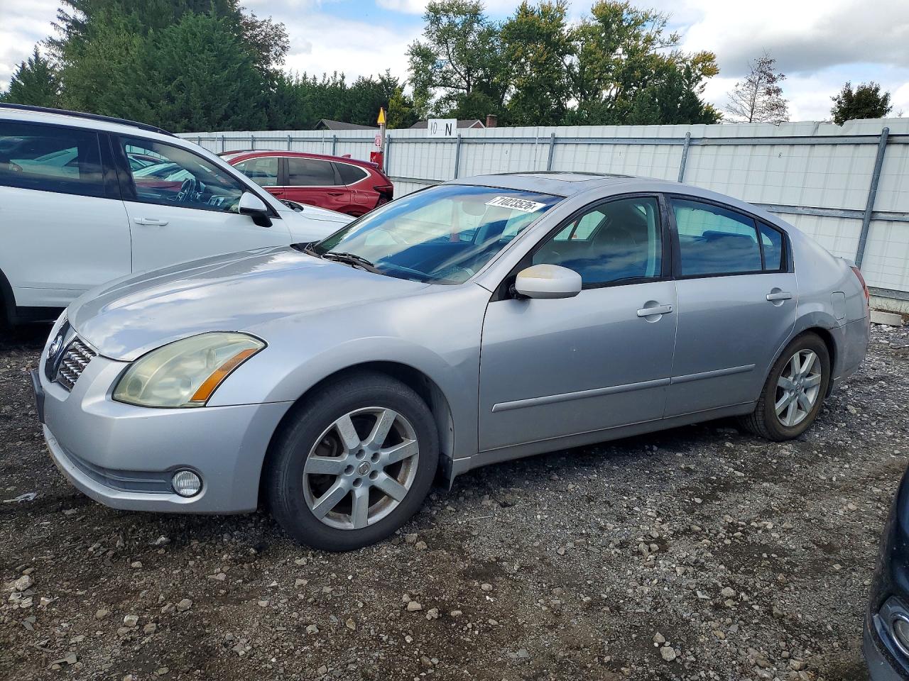 2005 NISSAN MAXIMA 3.5 SE | 1N4BA41E35C845430 | UPCARS