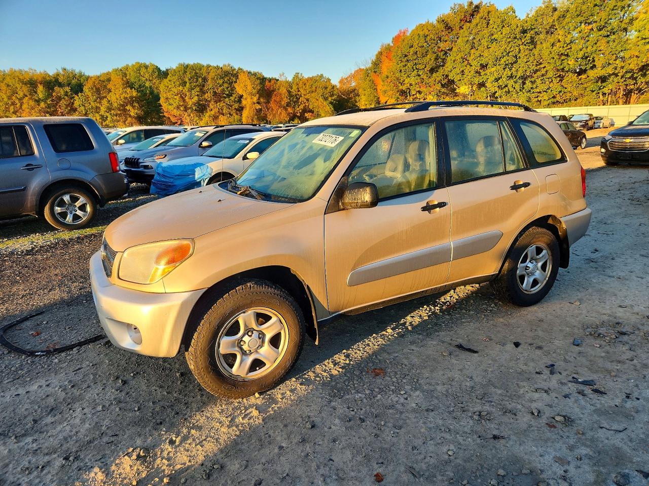 2004 TOYOTA RAV4 BASE | JTEHD20V140013663 | UPCARS