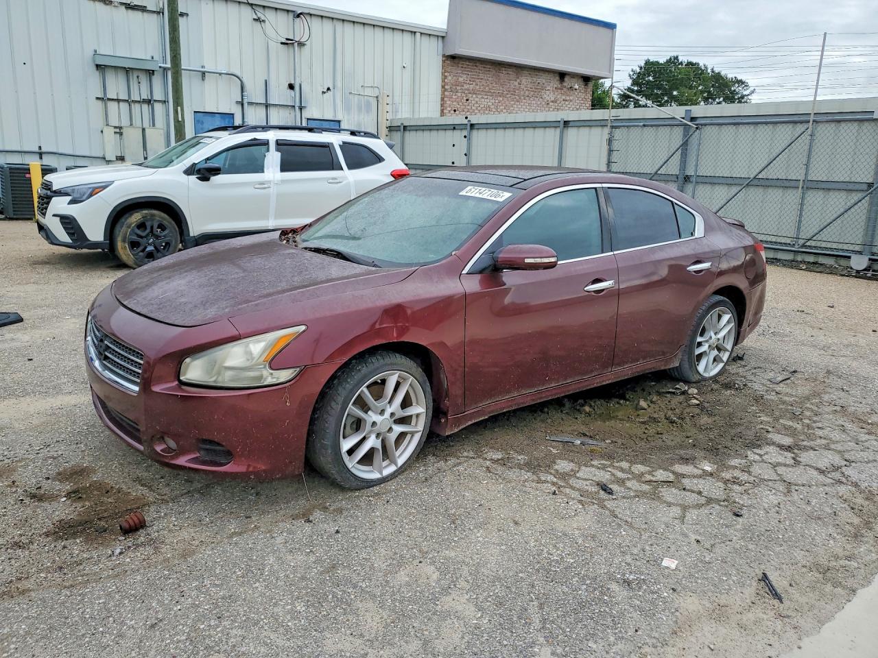 2010 NISSAN MAXIMA 3.5 S | 1N4AA5AP4AC857647 | UPCARS