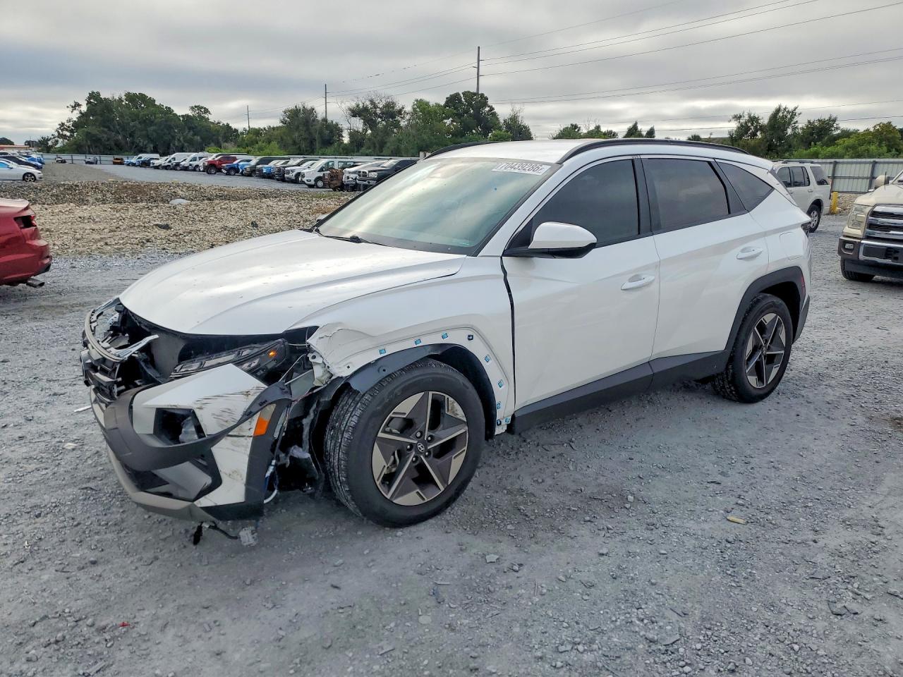 2025 HYUNDAI TUCSON SEL | 3KMJB3DE5SE013629 | UPCARS