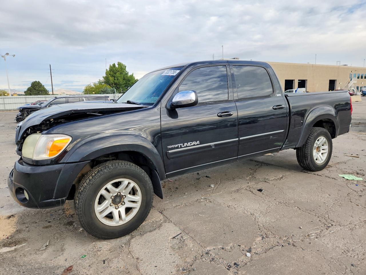 2006 TOYOTA TUNDRA DOUBLE CAB SR5 | 5TBDT44136S520498 | UPCARS
