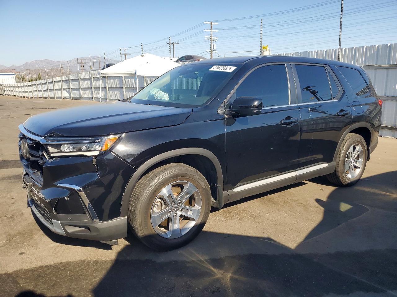 2024 HONDA PILOT EXL | 5FNYG2H45RB007025 | UPCARS