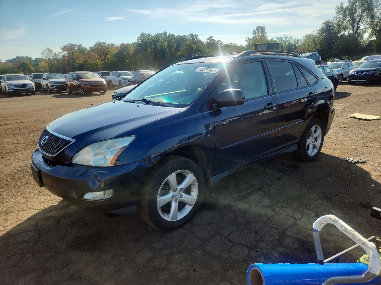 2007 LEXUS RX 350 | 2T2HK31U97C038595 | UPCARS