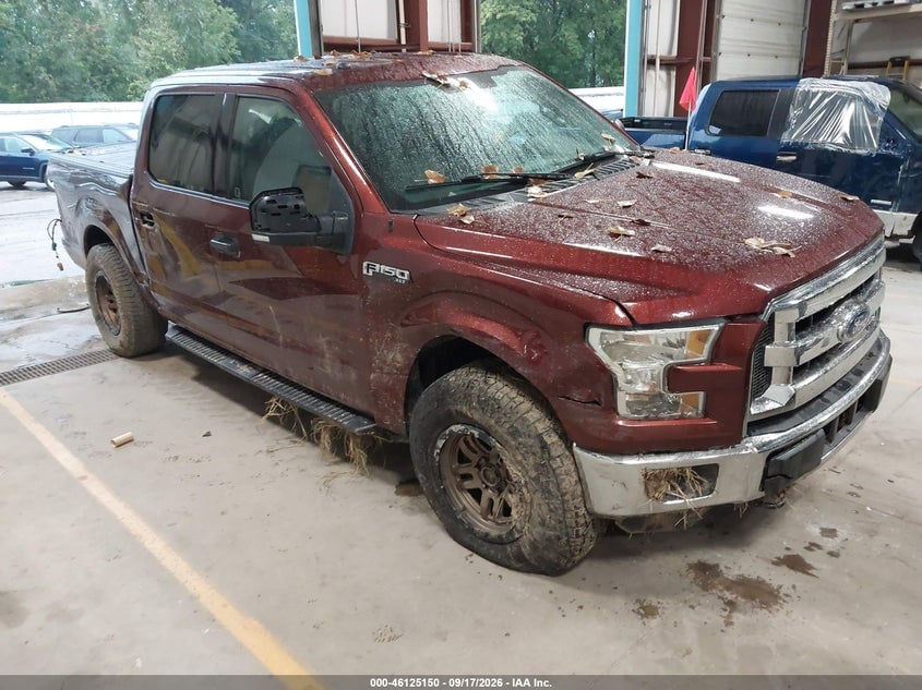 2016 FORD F-150 XLT | 1FTEW1E86GFB14262 | UPCARS