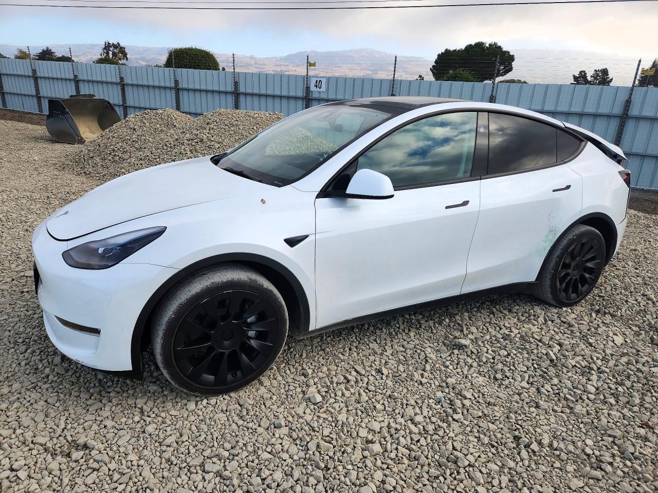 2024 TESLA MODEL Y | 7SAYGDEE9RA259854 | UPCARS