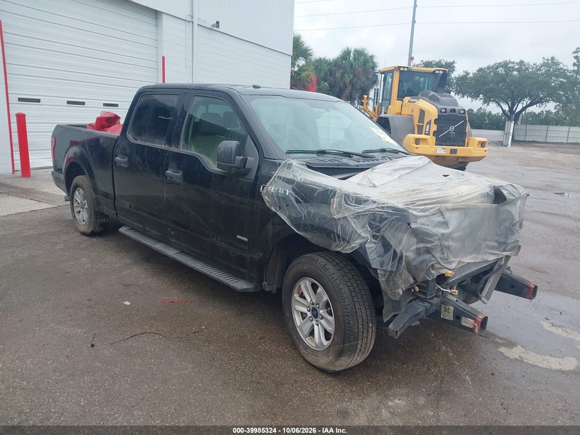 2016 FORD F-150 XLT | 1FTEW1CP3GFA56461 | UPCARS