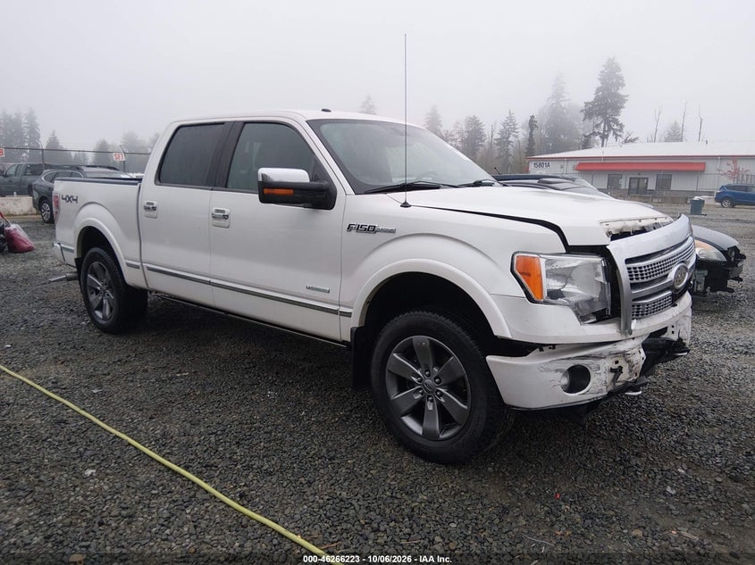 2011 FORD F-150 PLATINUM | 1FTFW1ET1BFC24461 | UPCARS