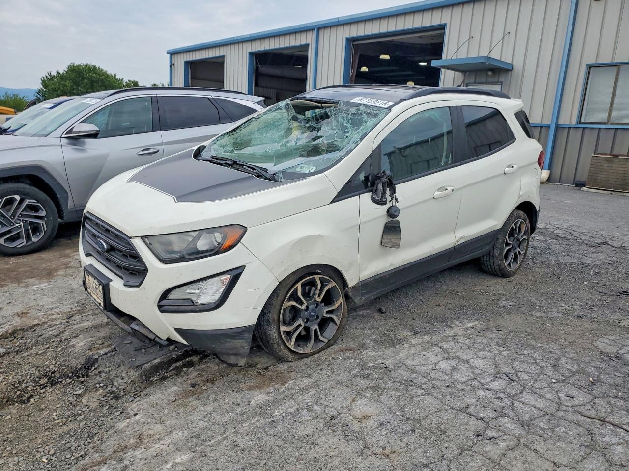 2019 FORD ECOSPORT SES | MAJ6S3JL3KC280907 | UPCARS