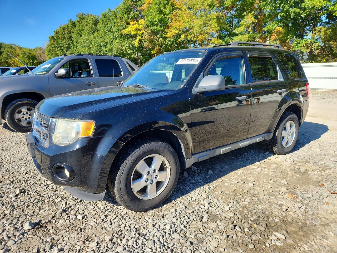 2010 FORD ESCAPE XLT | 1FMCU9DGXAKC24939 | UPCARS