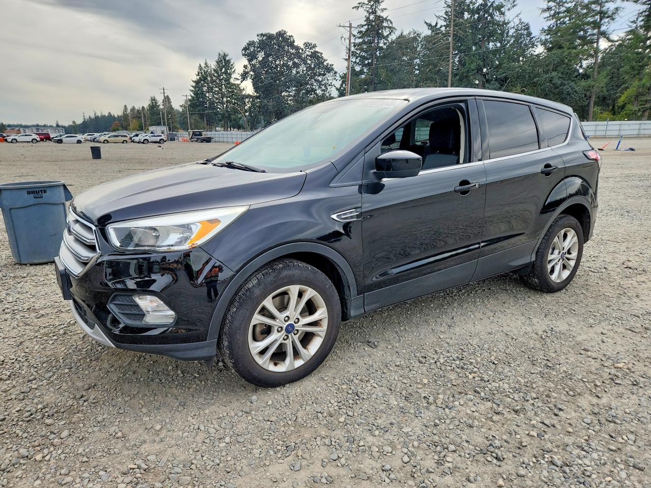 2017 FORD ESCAPE SE | 1FMCU9GD0HUC27364 | UPCARS