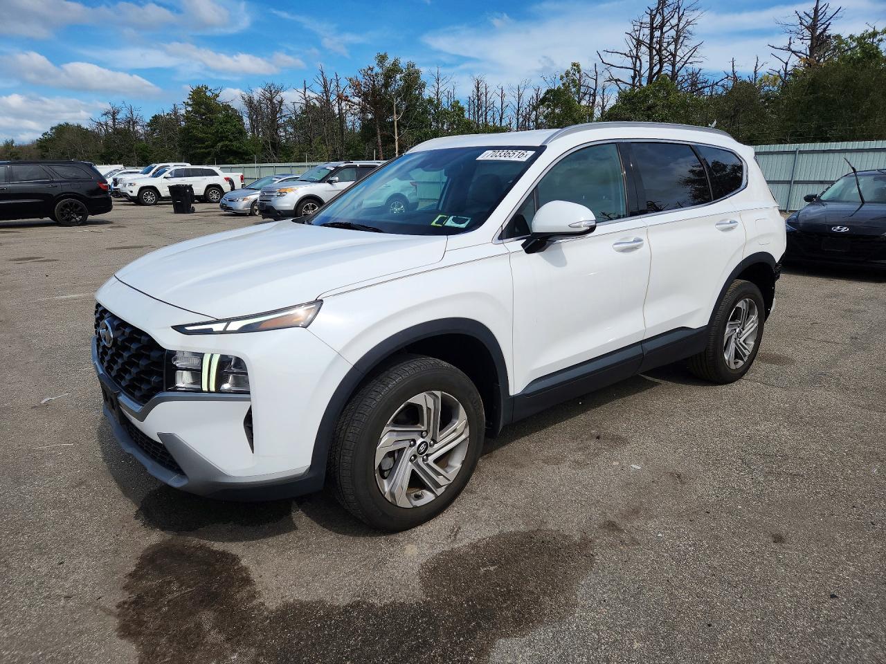 2023 HYUNDAI SANTA FE SEL | 5NMS2DAJ6PH553117 | UPCARS