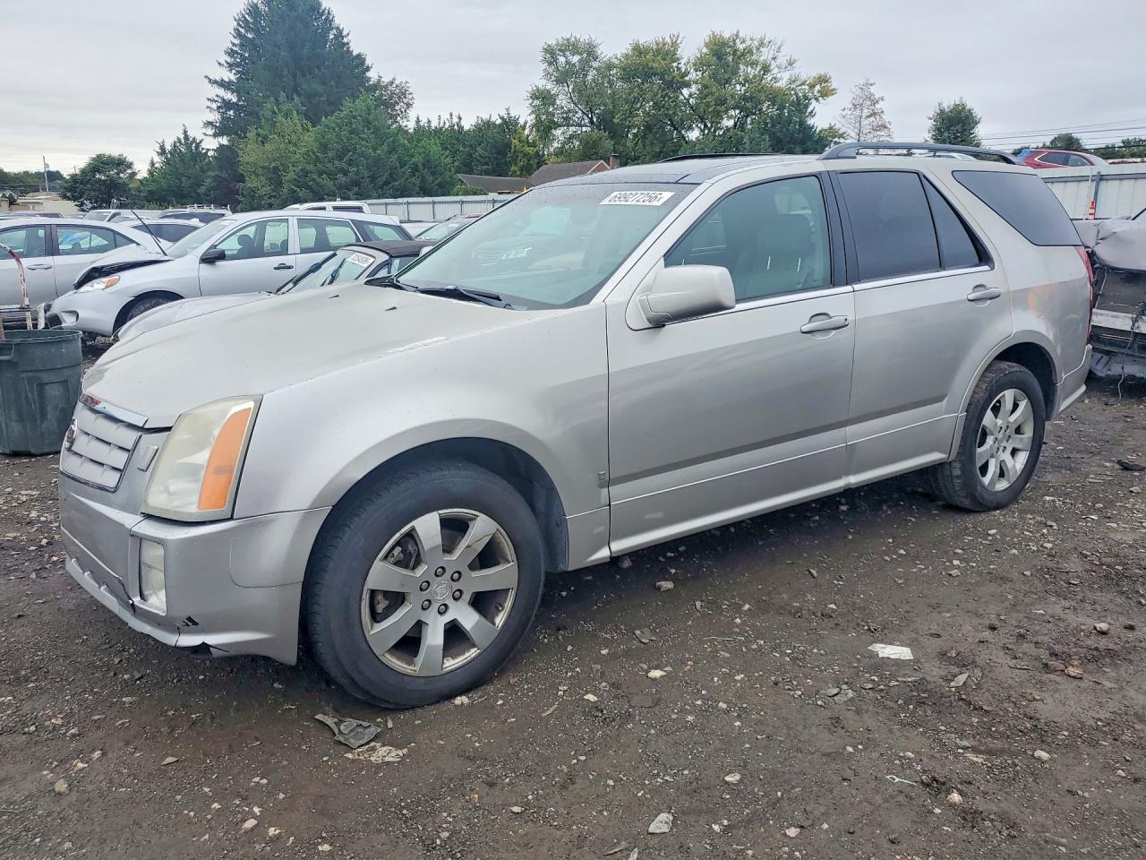2006 CADILLAC SRX | 1GYEE637460166544 | UPCARS