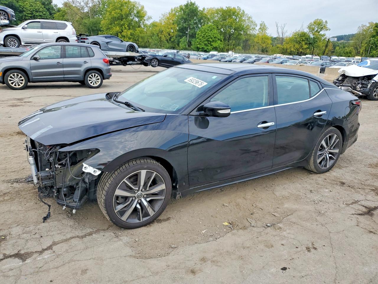 2019 NISSAN MAXIMA 3.5 SL | 1N4AA6AV9KC375603 | UPCARS