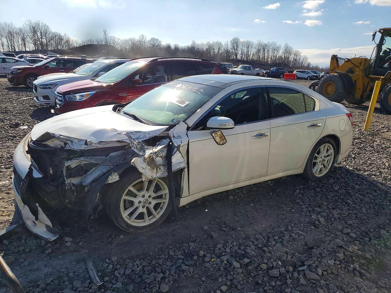 2010 NISSAN MAXIMA | 1N4AA5AP5AC860945 | UPCARS