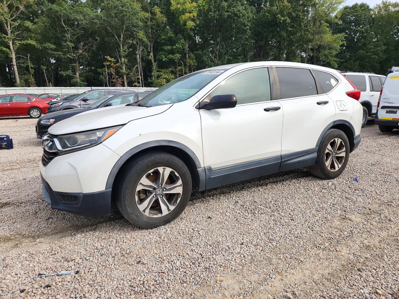 2019 HONDA CRV LX | 2HKRW5H31KH404867 | UPCARS