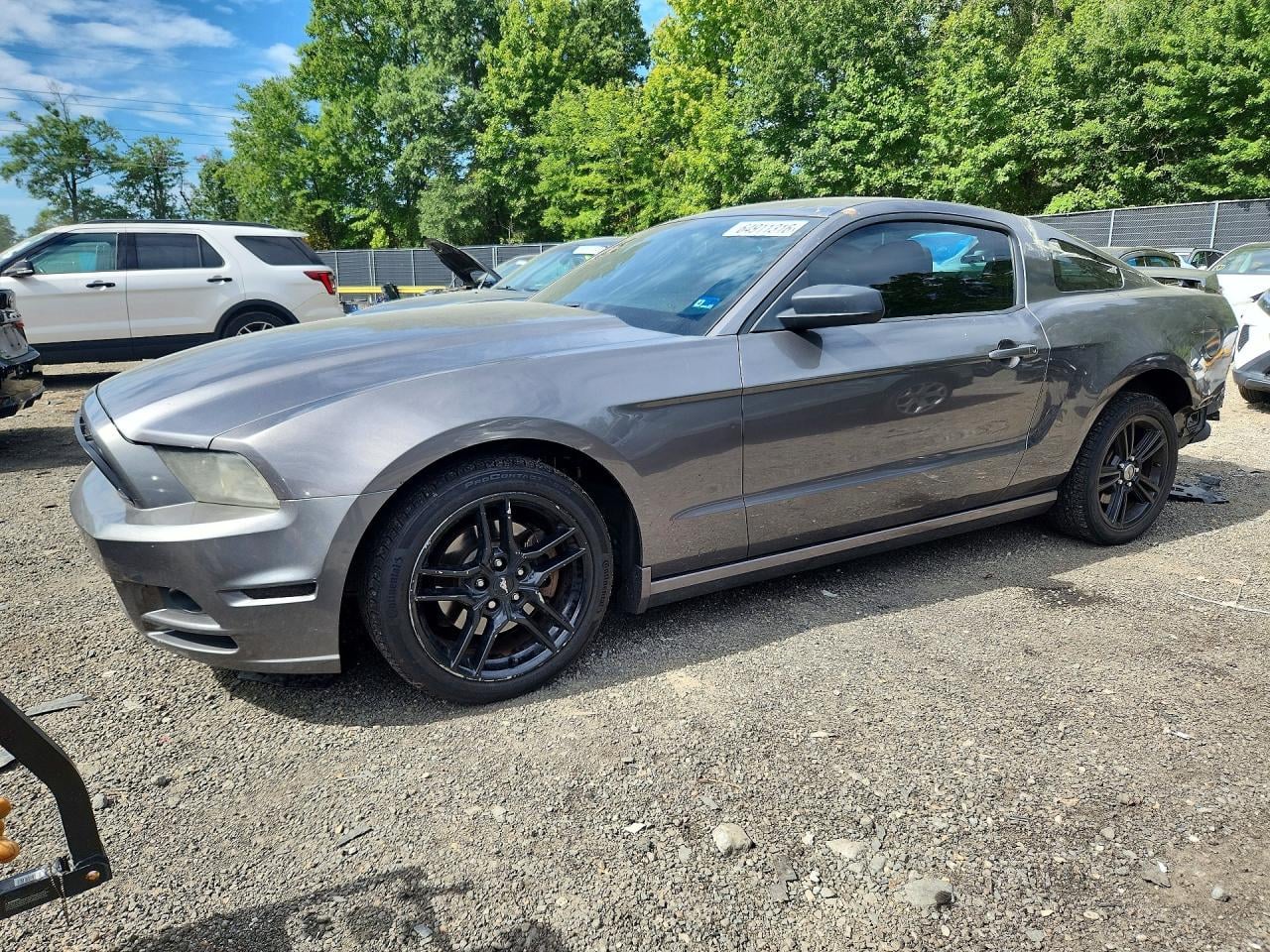 2013 FORD MUSTANG | 1ZVBP8AM4D5279155 | UPCARS