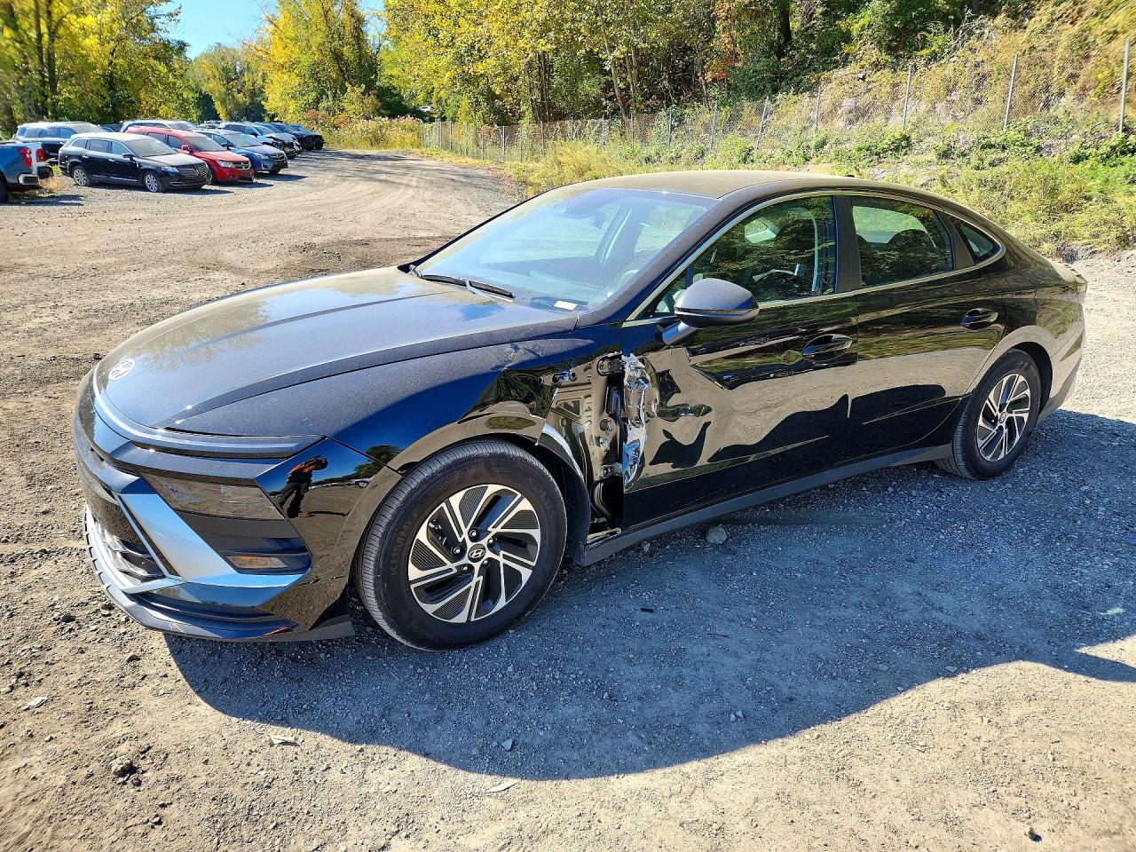 2026 HYUNDAI SONATA BLUE | KMHL24JJ8TA161020 | UPCARS