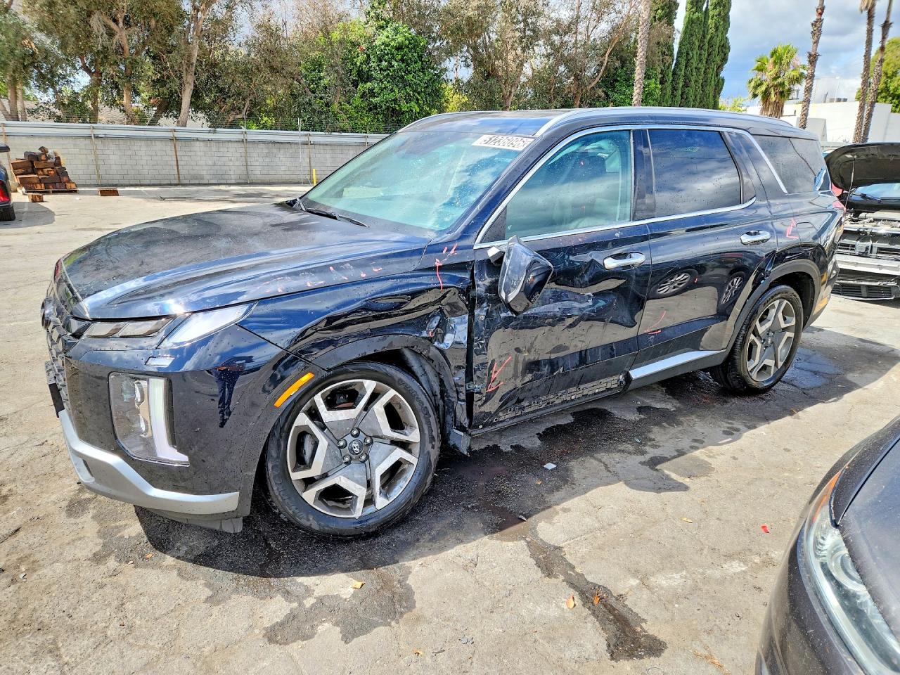 2025 HYUNDAI PALISADE SEL PREMIUM | KM8R44GE7SU871215 | UPCARS