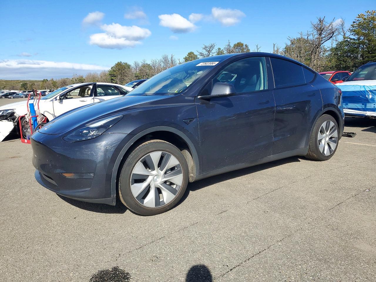 2024 TESLA MODEL Y | 7SAYGDEE2RA286491 | UPCARS