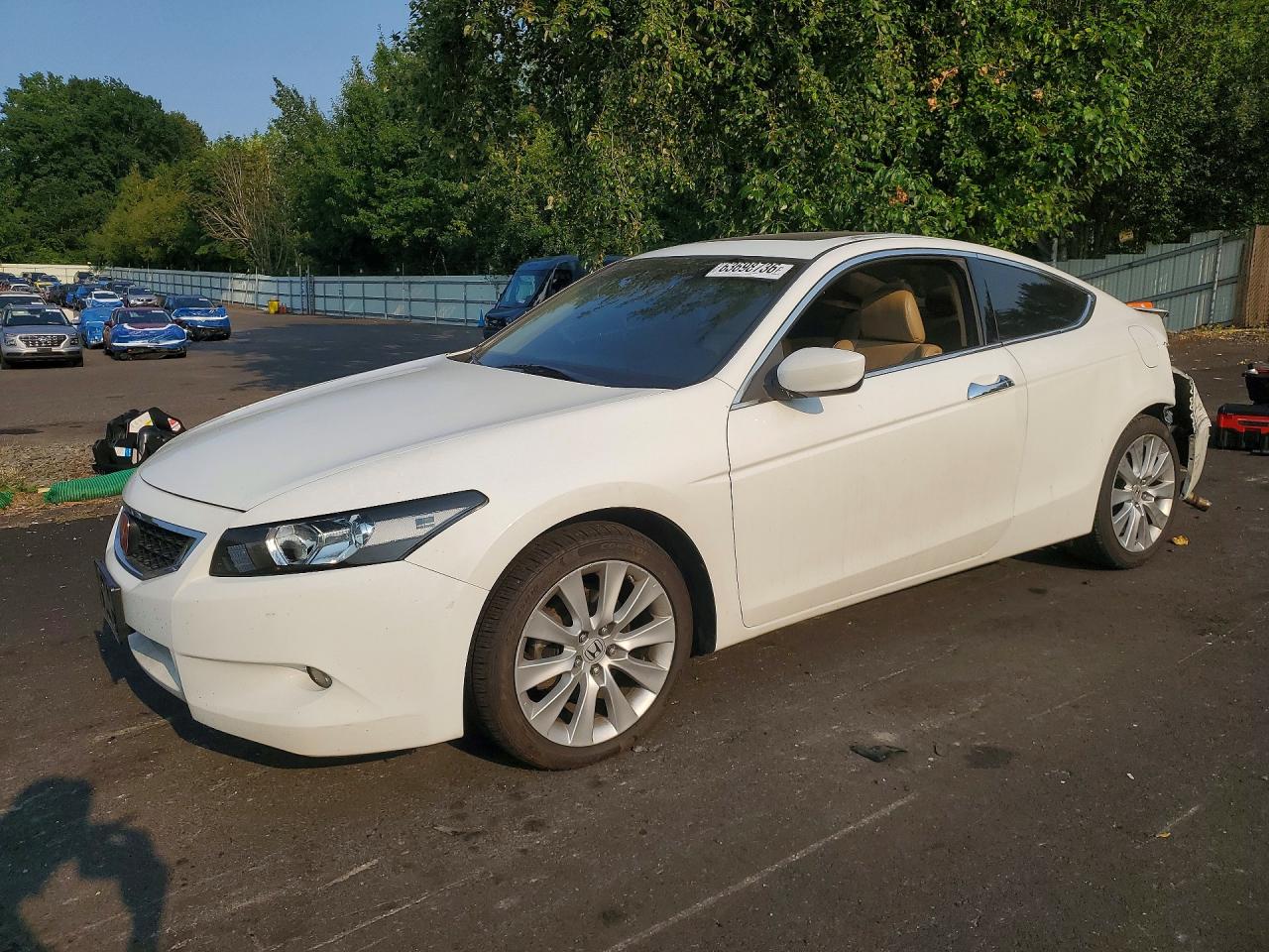 2010 HONDA ACCORD EXL | 1HGCS2B86AA009319 | UPCARS