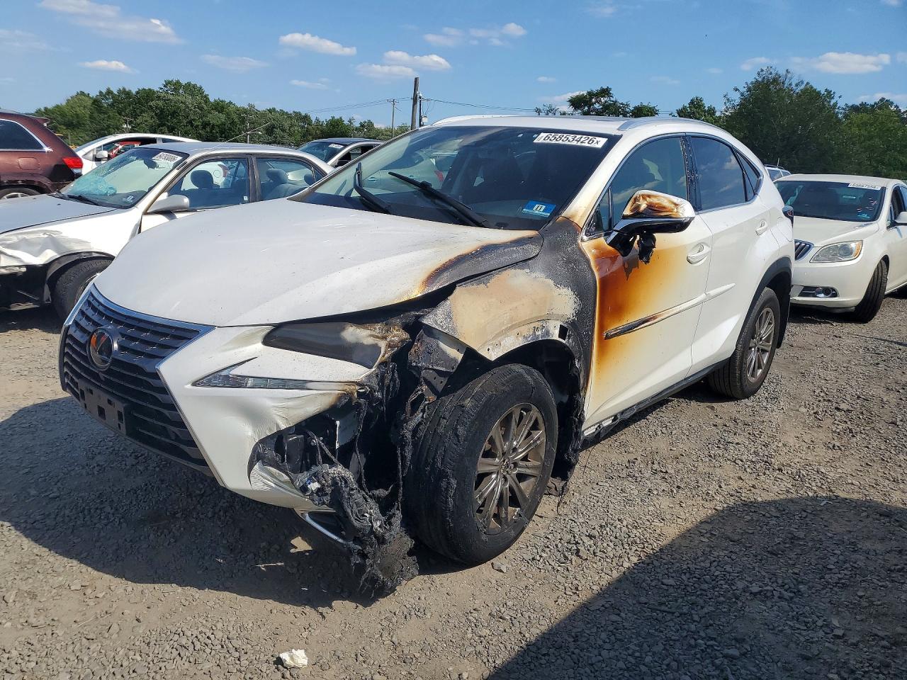 2021 LEXUS NX BASE | JTJDARDZ1M5021148 | UPCARS