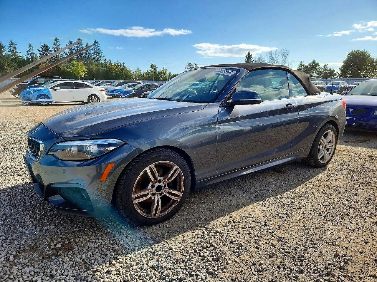 2018 BMW 2 SERIES | WBA2K1C53JVB64590 | UPCARS