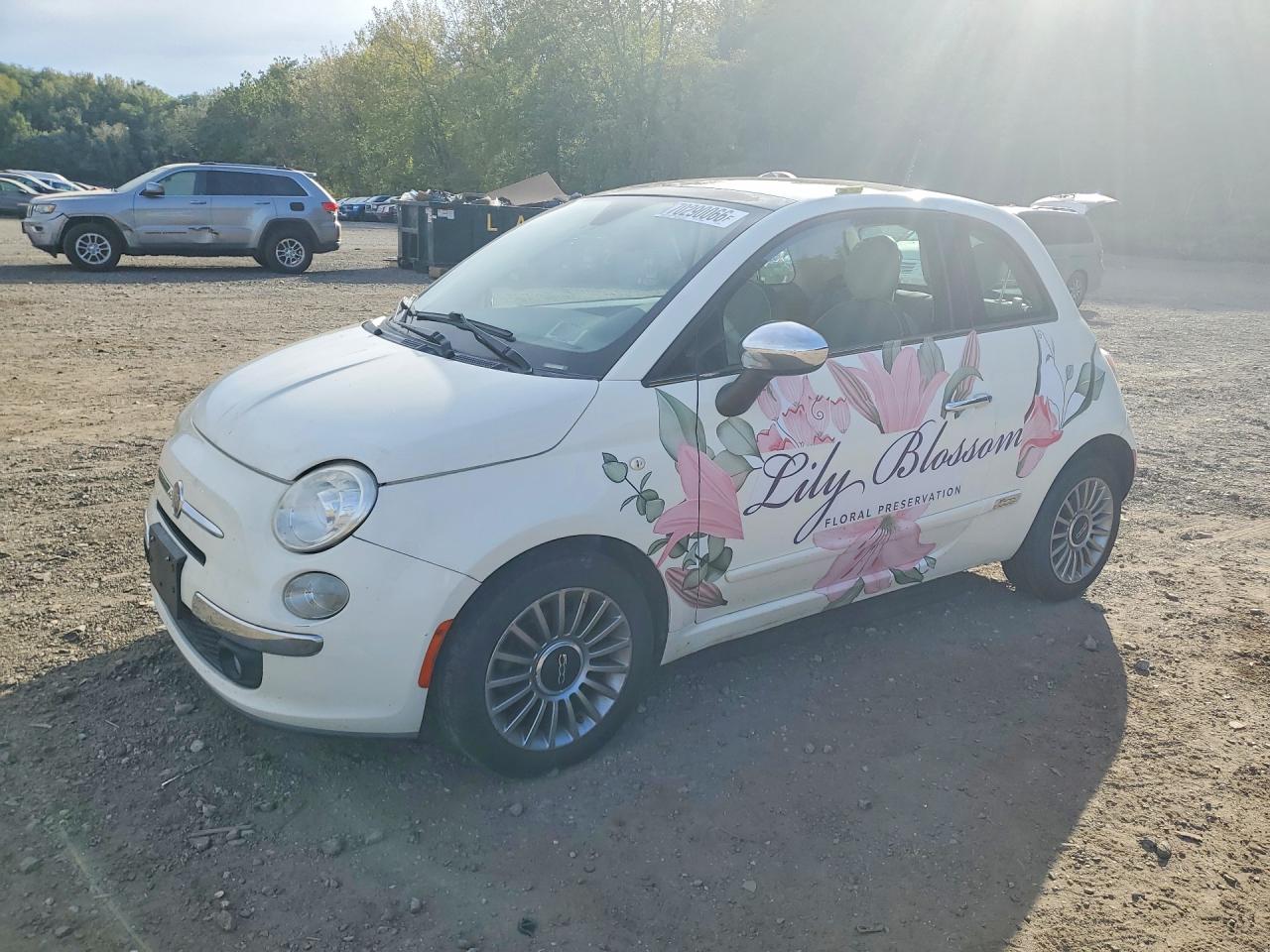 2012 FIAT 500 LOUNGE | 3C3CFFCR9CT106385 | UPCARS