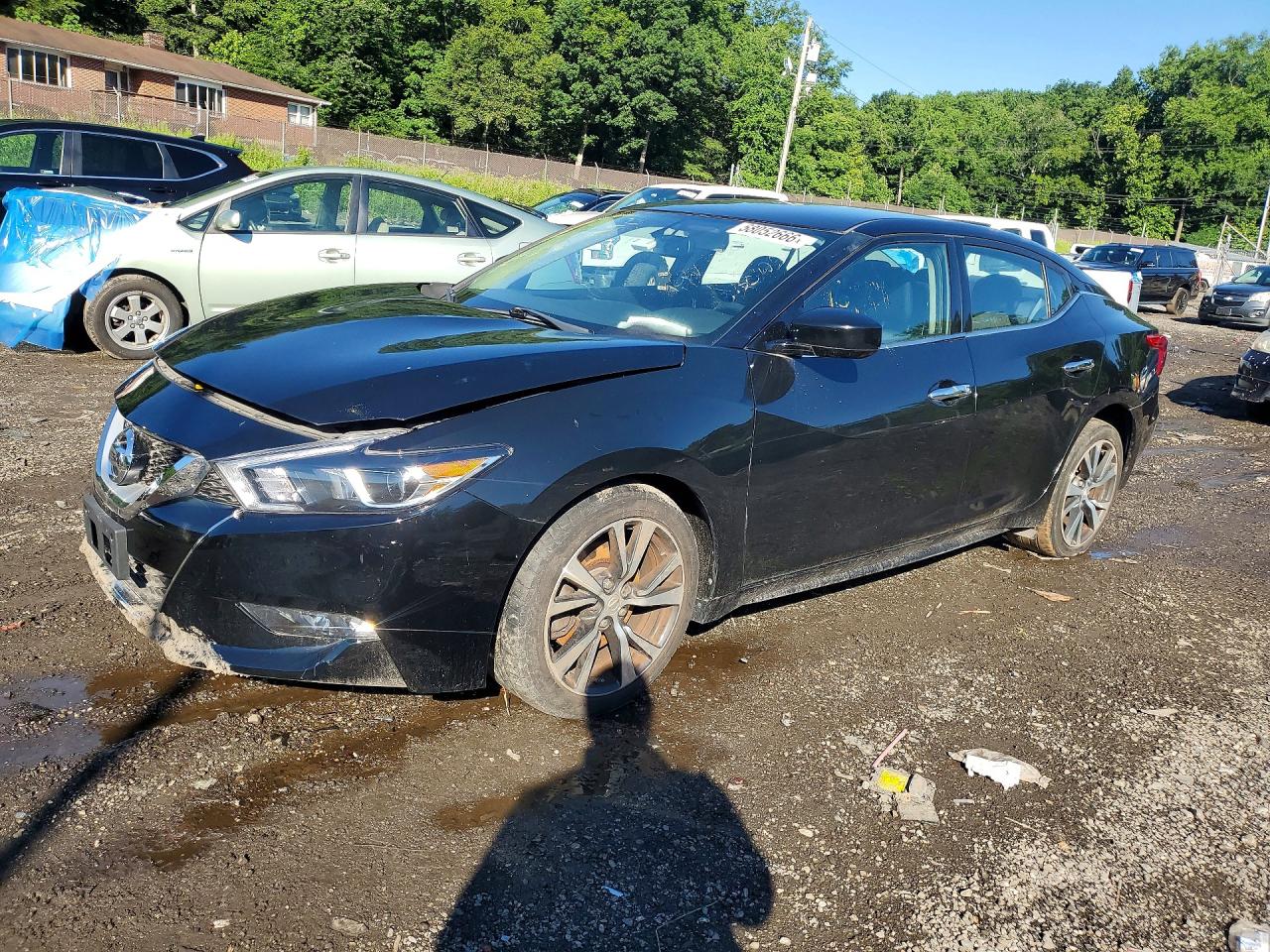 2016 NISSAN MAXIMA | 1N4AA6AP8GC906007 | UPCARS