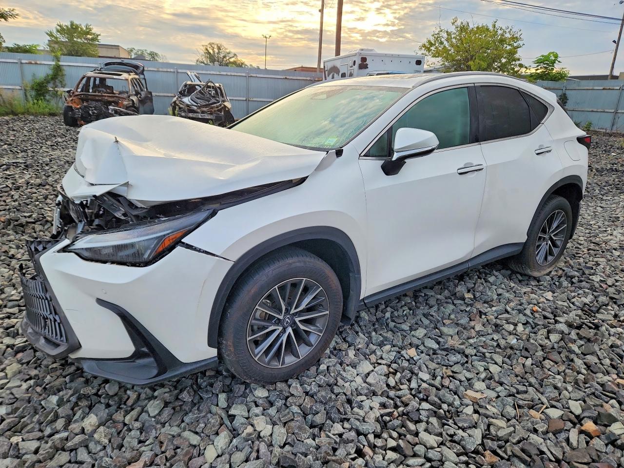 2025 LEXUS NX BASE | 2T2ADCEZ9SC005509 | UPCARS