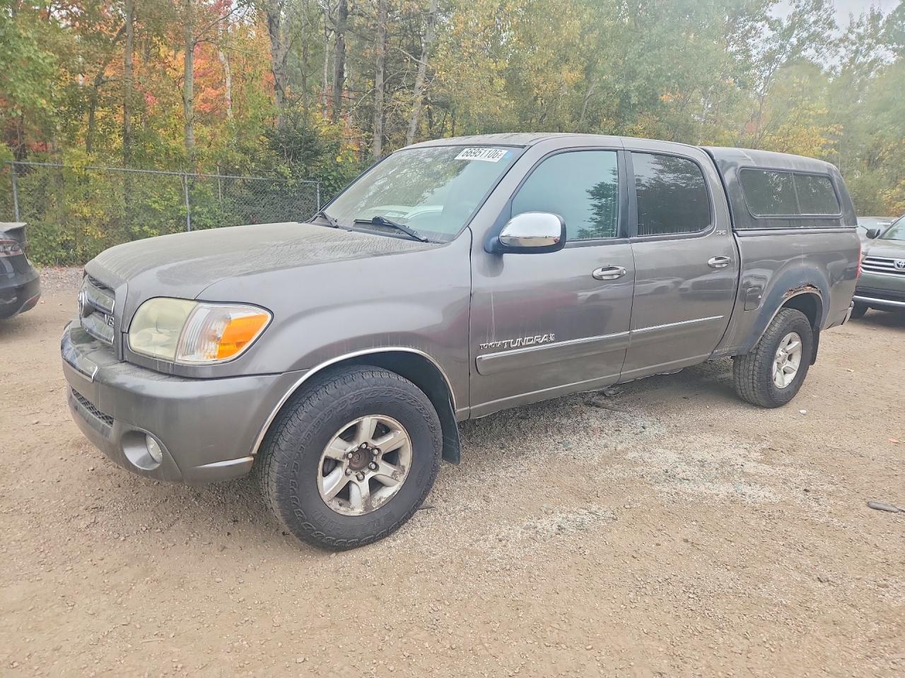 2006 TOYOTA TUNDRA DOUBLE CAB SR5 | 5TBET34166S540114 | UPCARS