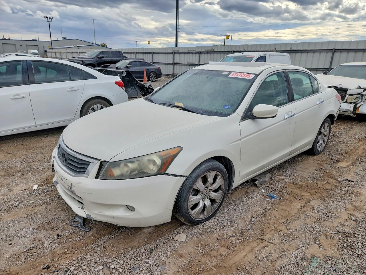 2010 HONDA ACCORD EXL | 1HGCP3F8XAA023130 | UPCARS