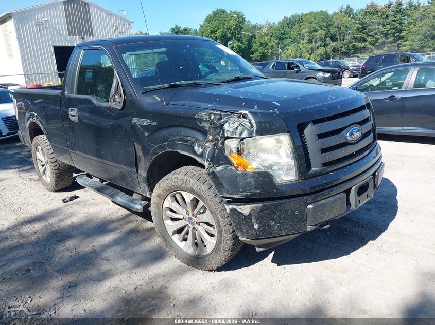 2011 FORD F-150 STX | 1FTMF1EF7BFC54968 | UPCARS