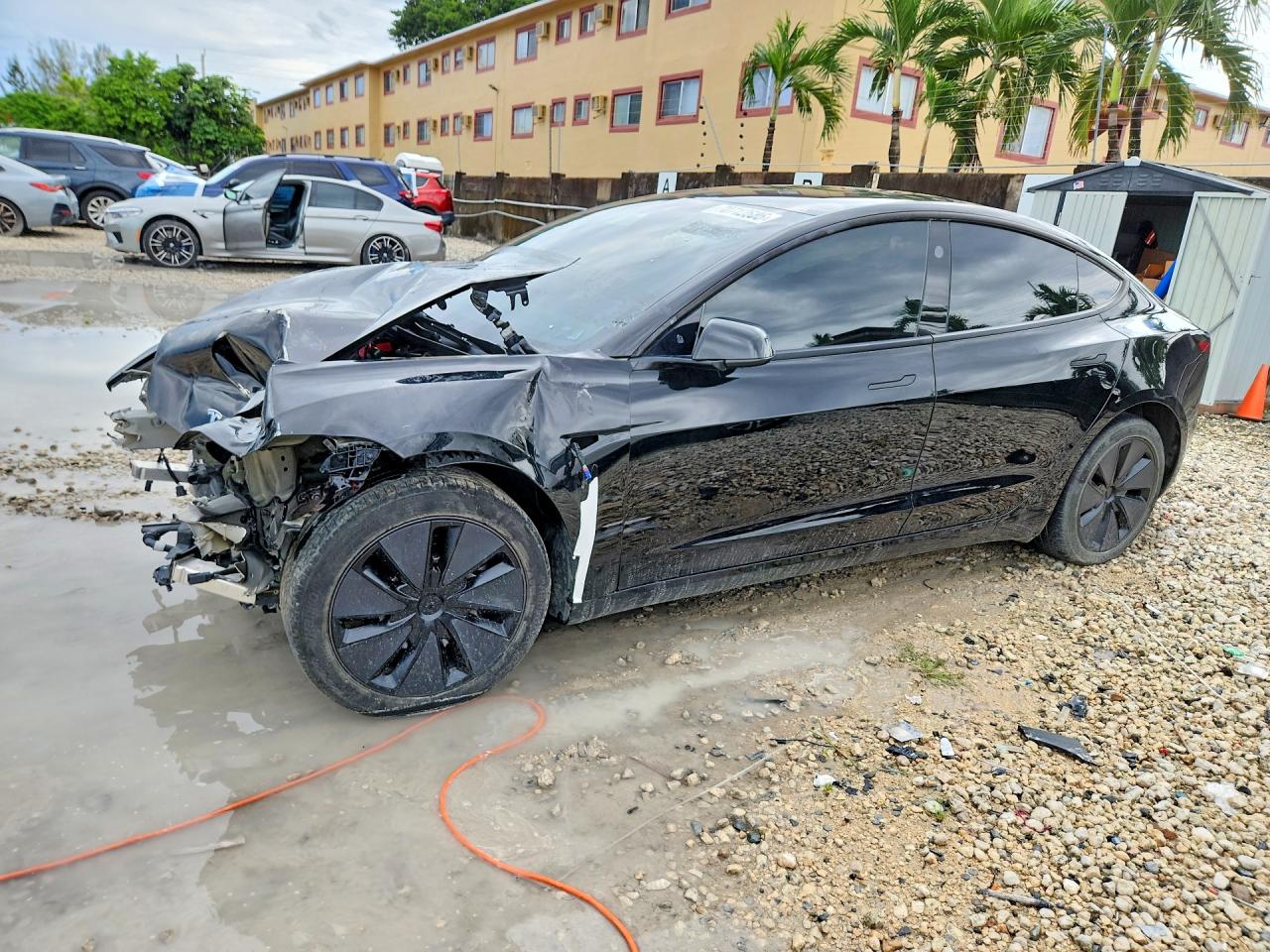 2025 TESLA MODEL 3 | 5YJ3E1EA0SF981117 | UPCARS