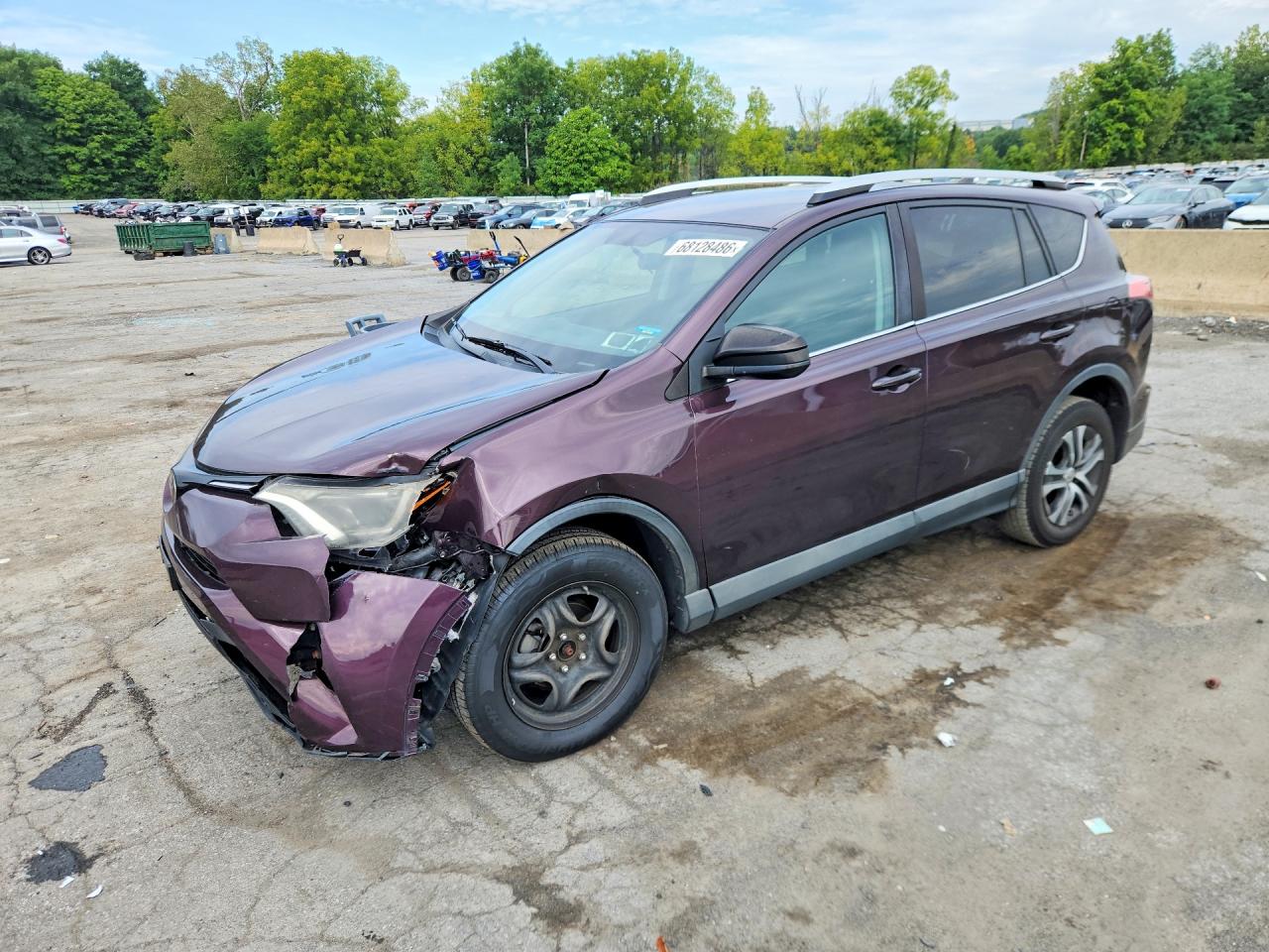 2016 TOYOTA RAV4 LE | 2T3BFREV5GW530339 | UPCARS