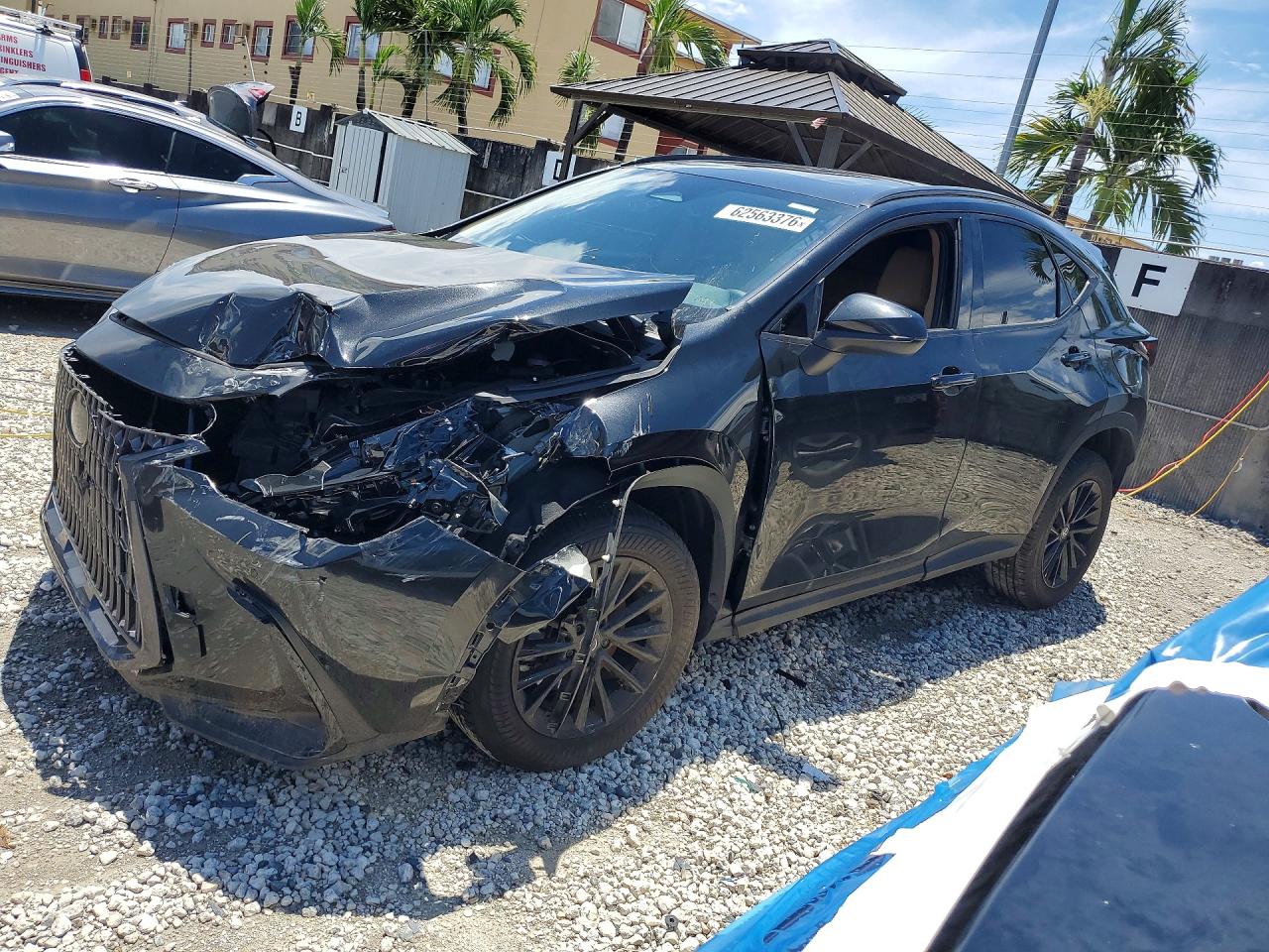 2025 LEXUS NX BASE | 2T2ADCAZ0SC028926 | UPCARS