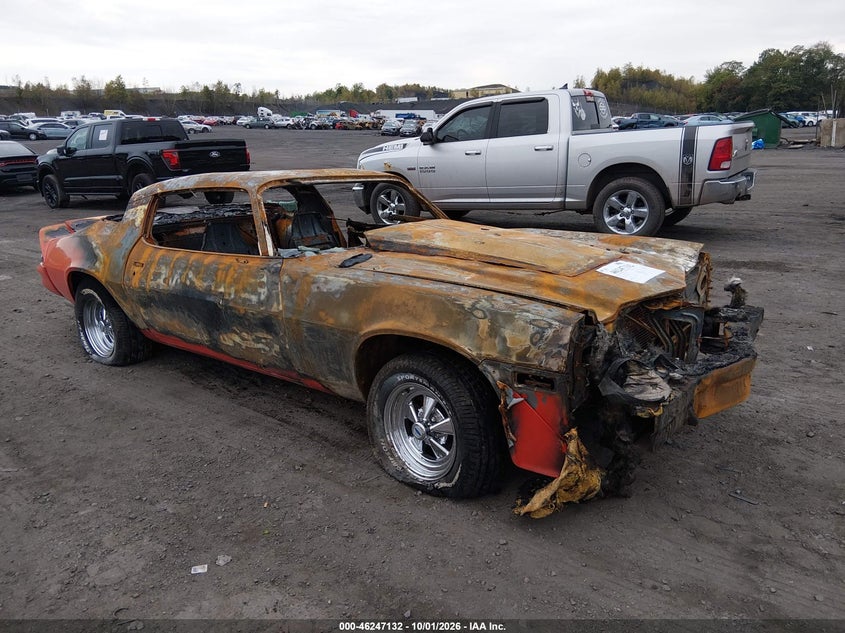 1981 CHEVROLET CAMARO BERLINETTA | 1G1AS87J8BL180074 | UPCARS