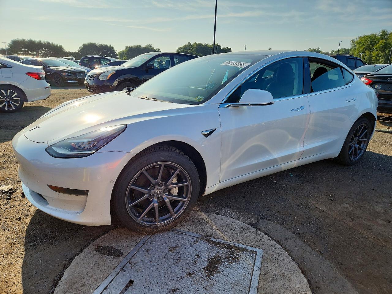 2019 TESLA MODEL 3 | 5YJ3E1EB1KF359554 | UPCARS
