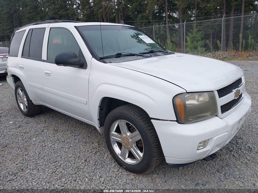 2007 CHEVROLET TRAILBLAZER LT | 1GNDT13S672165410 | UPCARS