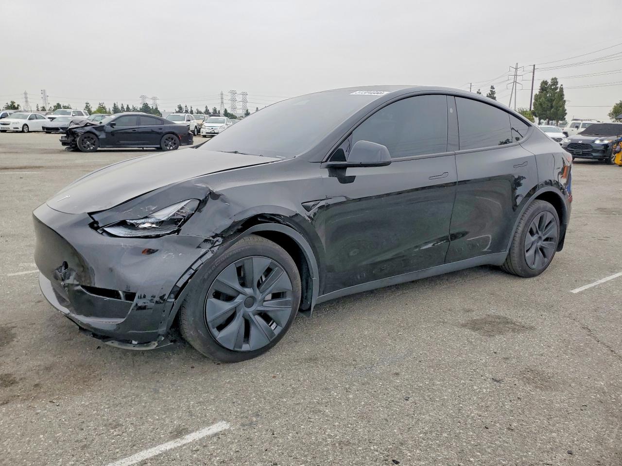2024 TESLA MODEL Y | 7SAYGDED4RF205811 | UPCARS
