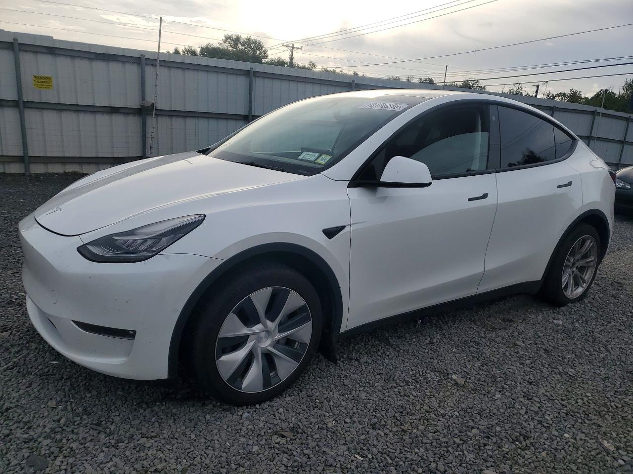 2021 TESLA MODEL Y | 5YJYGDEE8MF202991 | UPCARS