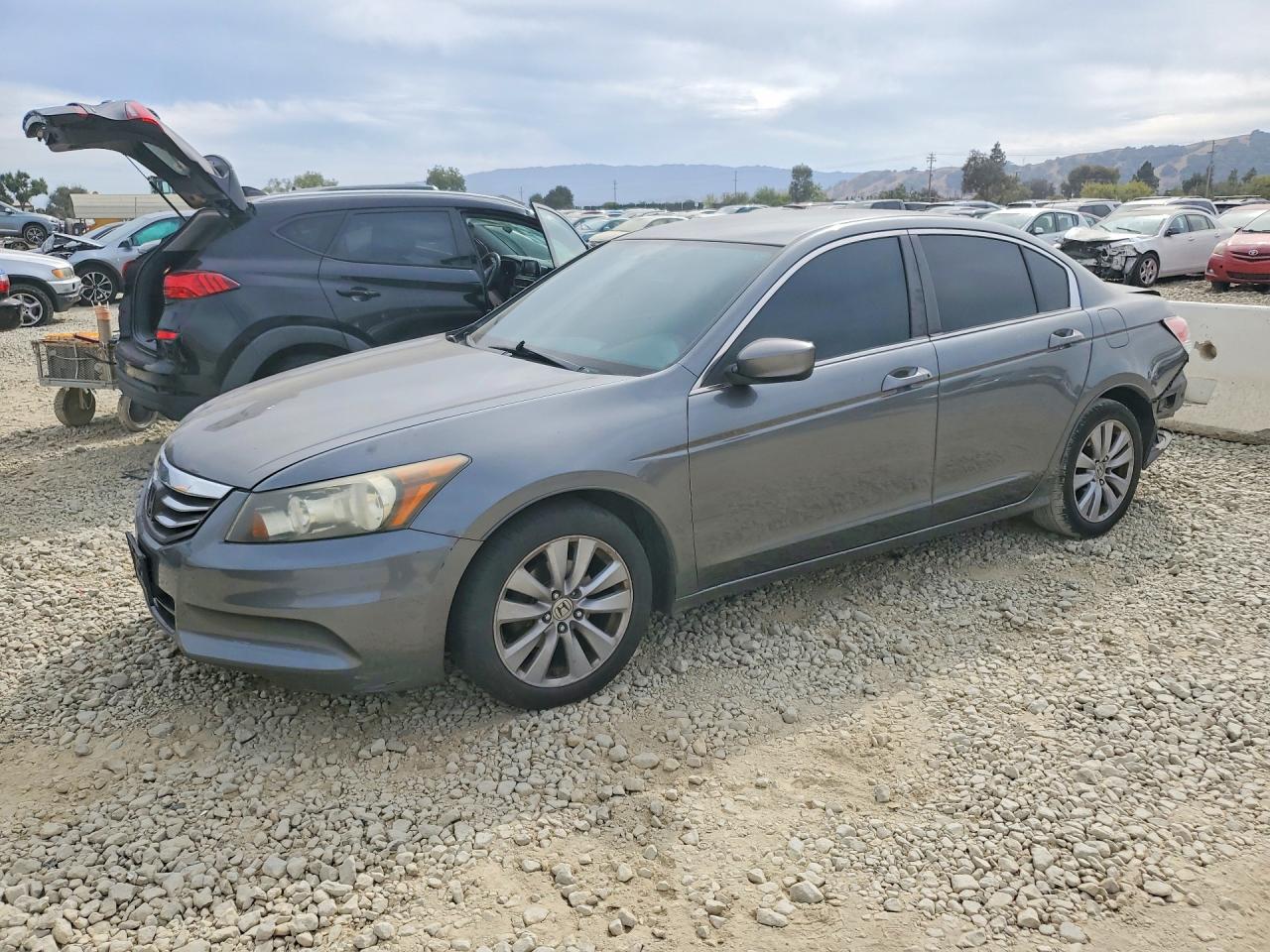 2011 HONDA ACCORD LXP | 1HGCP2F49BA020485 | UPCARS