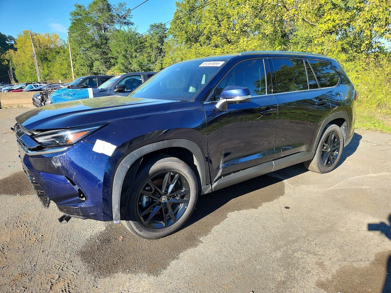 2025 TOYOTA ALL OTHER LIMITED | 5TDACAB51SS055387 | UPCARS