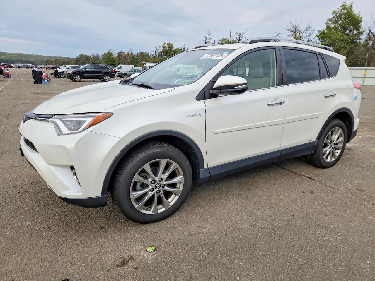 2017 TOYOTA RAV4 LIMITED | JTMDJREV8HD132631 | UPCARS