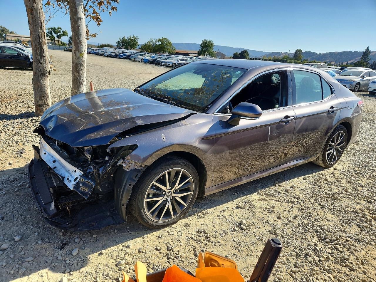 2024 TOYOTA CAMRY XLE | 4T1F31AK1RU626147 | UPCARS