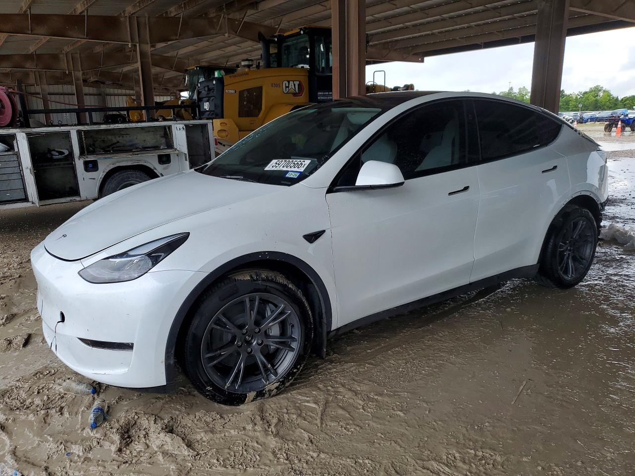 2025 TESLA MODEL Y | 7SAYGDEEXSA346491 | UPCARS