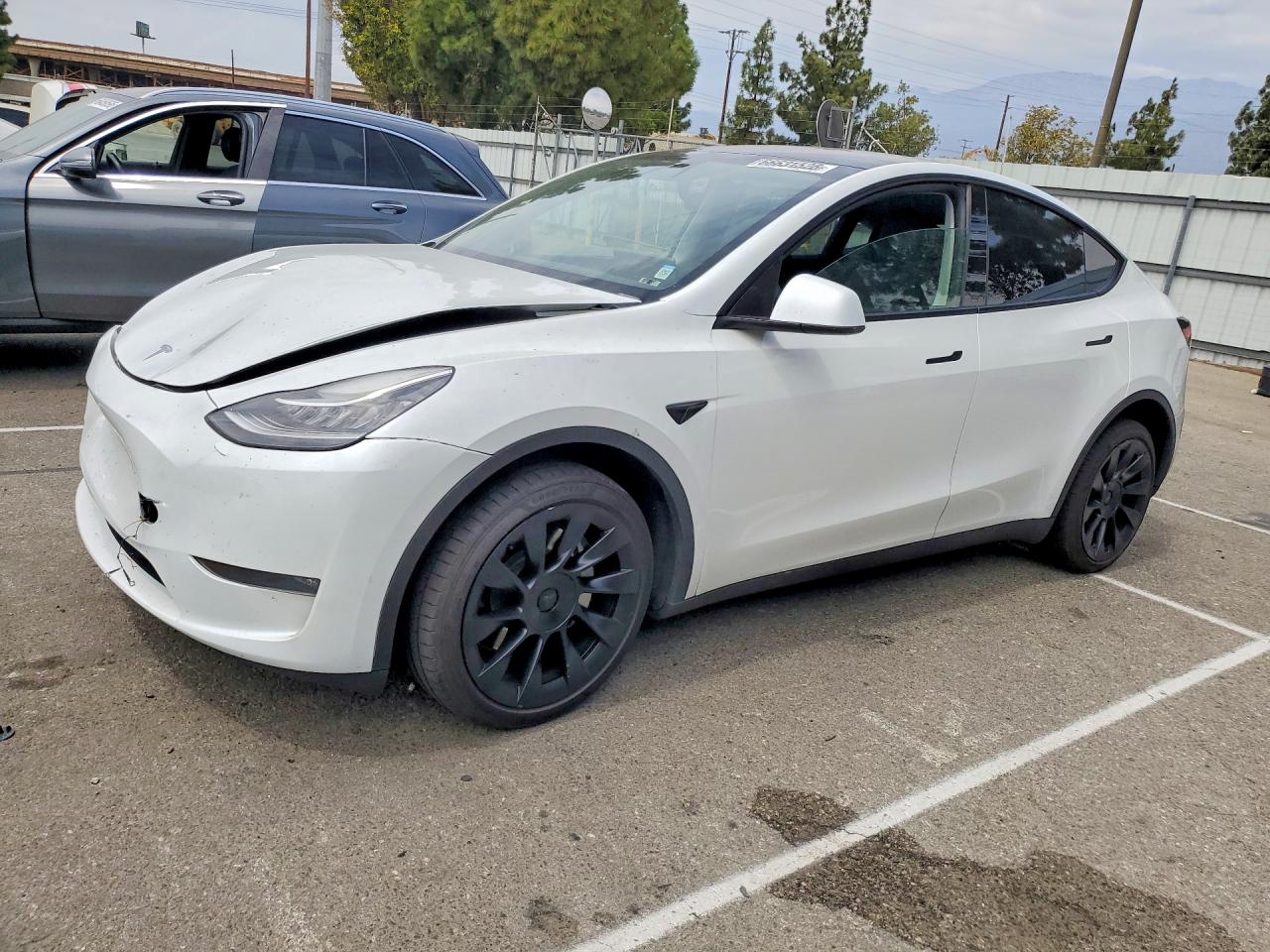 2023 TESLA MODEL Y | 7SAYGDEE4PA112404 | UPCARS