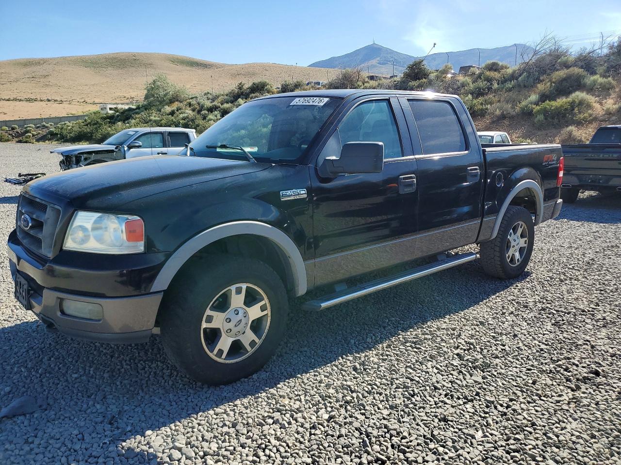 2005 FORD F-150 SUPERCREW | 1FTPW14595KE64506 | UPCARS