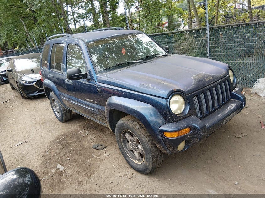2002 JEEP LIBERTY LIMITED EDITION | 1J8GL58K22W231192 | UPCARS
